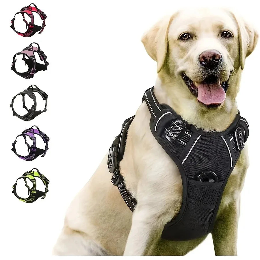 Coleiras, peitorais, coletes, guias, loja de animais, tudo para cães, acessórios de couro para filhotes, tamanhos médio e pequeno.