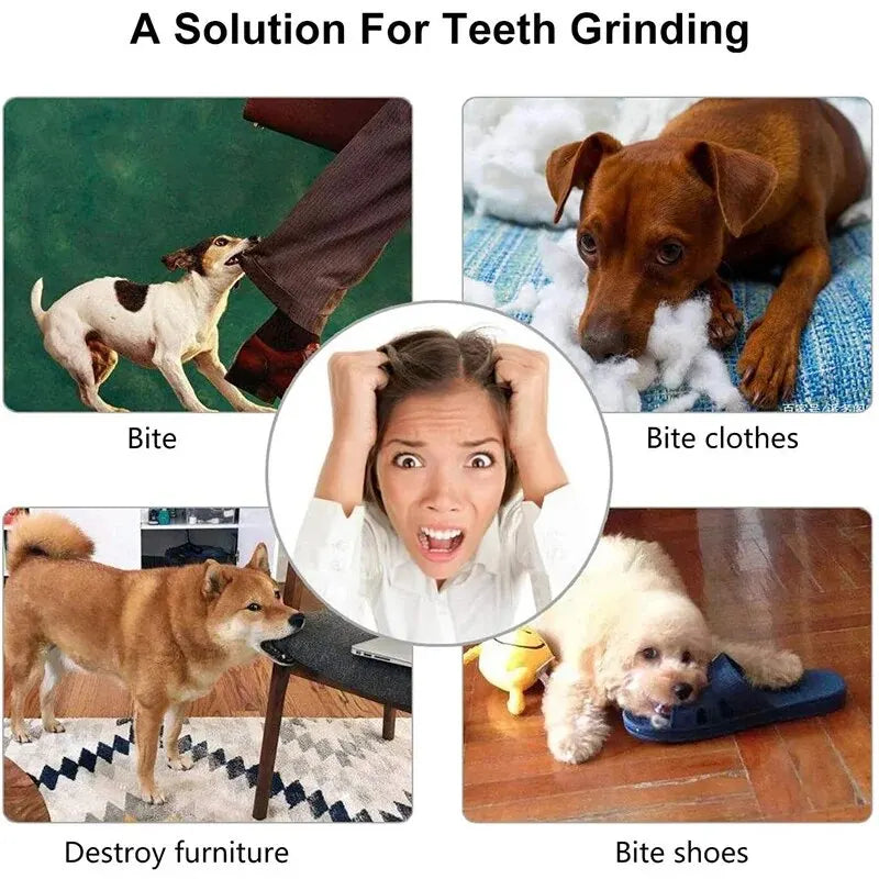 Bola de brinquedo para cães, atóxica e resistente a mordidas, ideal para cães, filhotes e gatos.