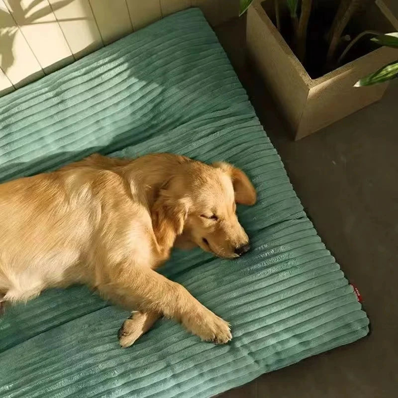 Cama de inverno quentinha para cães, feita de veludo cotelê.
