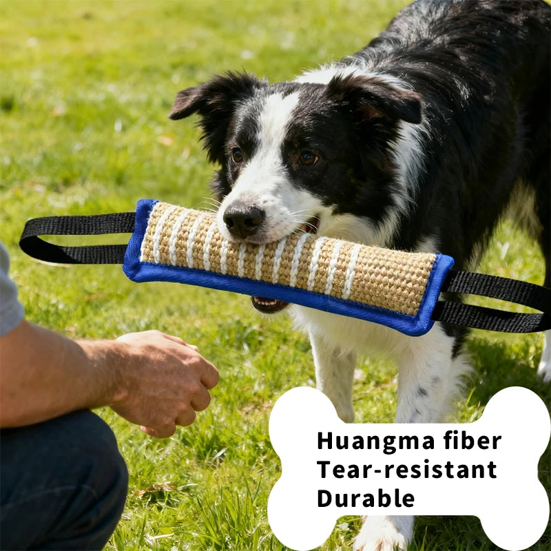 Produtos para adestramento de cães, hastes de mordida Jaoseko, ranger de dentes, bastão
