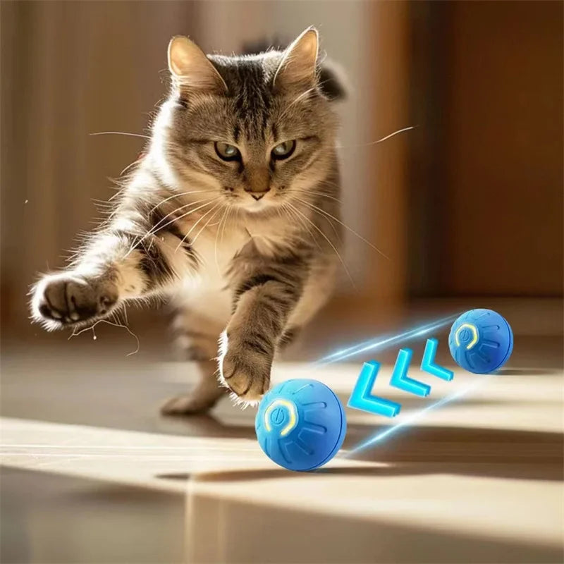 Bola de brinquedo inteligente para cães