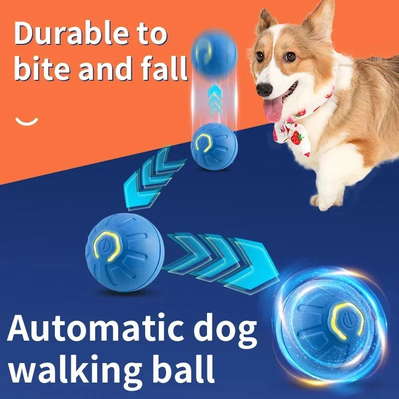 Bola de brinquedo inteligente para cães