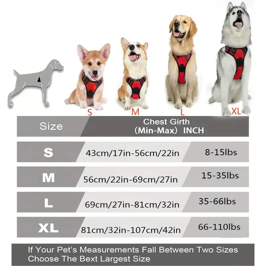 Coleiras, peitorais, coletes, guias, loja de animais, tudo para cães, acessórios de couro para filhotes, tamanhos médio e pequeno.